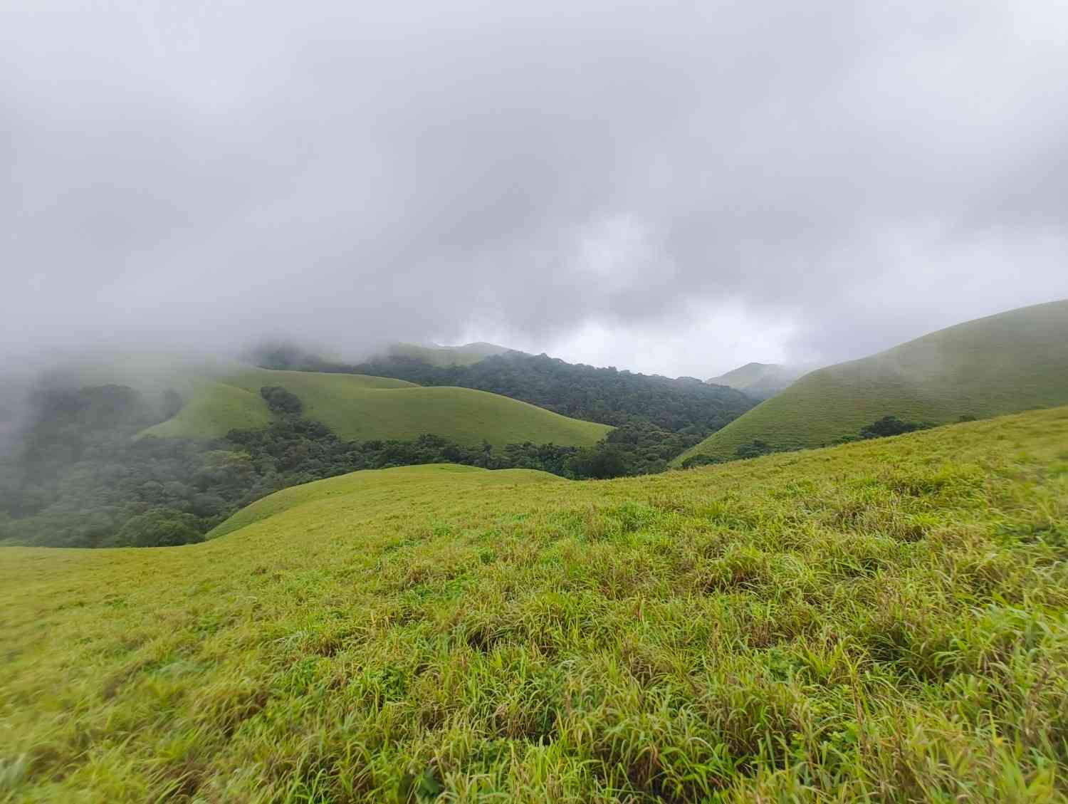 Bandaje Arbi Falls Trek trek status